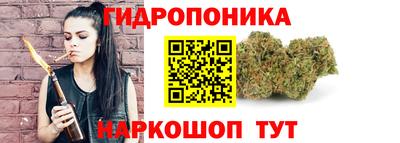 круглые Новодвинск