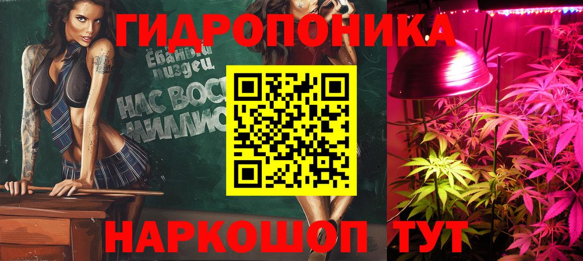Сургут  Каннабис планчик  Вход с VPN  Каннабис индика 